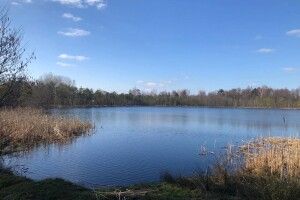 Де на Волині знаходиться унікальне озеро із червонуватим відтінком (Фото)