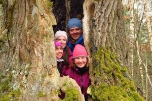 У Цуманській пущі турист і три туристки залізли всередину дуба (фото)