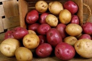 На Любешівщині для лікарень зібрали фуру картоплі