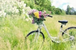 Що українці шукають на OLX