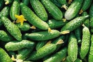 Огірки в Україні подорожчали на 30% за тиждень