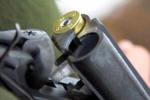 Хлопчик вистрелив у сестру, коли цілив у птахів