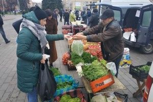 Мед з кавою: у Луцьку триває сільськогосподарський ярмарок