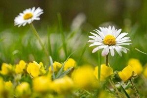 Якою буде сьогодні погода на Волині 
