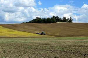 На Волині депутату незаконно віддали землю