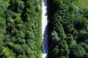У Камінь-Каширському районі людям заборонили ходити в ліс 