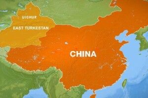 Творці концтаборів у Китаї можуть спати спокійно — ​українські чинуші їх злякались