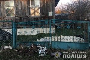Поліцейські затримали на місці злочину зловмисника, який обкрадав дачі