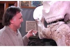 Наші вчені наче пазли складають... кості унікального нащадка стародавнього слона