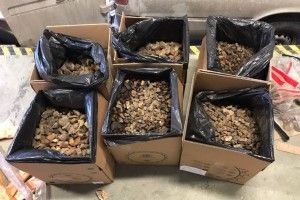 148 кілограмів бурштину затримали на кордоні з Польщею