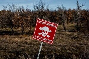 Шукали корову: на окупованій Луганщині підірвалися жінка з дитиною