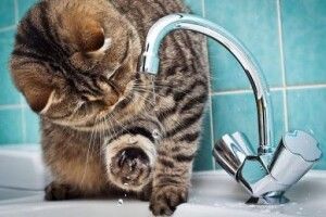 Скоро в Луцьку дадуть воду: аварію на електромережах вже усунули