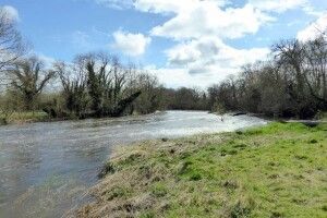 Пенсіонерка переходила вбрід річку і потонула