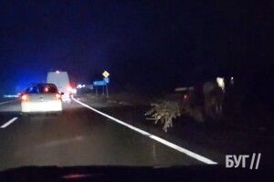 ДТП на Волині: авто втаранилось у підводу