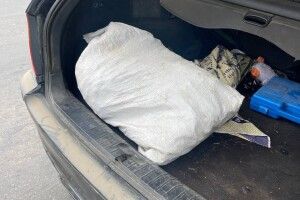Каже, що нарвав у полі: у водія  «BMW» на Рівненщині знайшли мішок маку