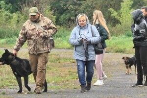 Чому у Луцьку облаштовані лише два з одинадцяти майданчиків для вигулу собак