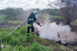 На Волині знову горять торфовища