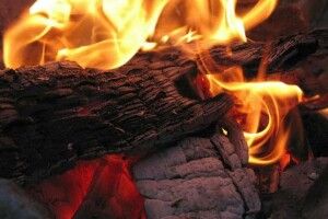 У Луцьку чоловік розвів багаття на території міста: муніципали  зловили його «на гарячому»