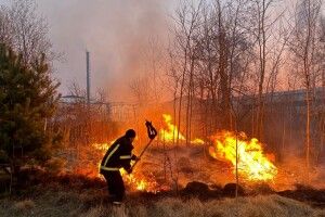 Минулої доби рятувальники Волині ліквідували 16 пожеж на відкритих територіях (Фото)
