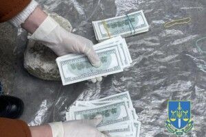 Продала дитину за 30 тисяч доларів: на Волині судять 26-річну жінку (Фото)