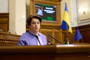 Ніна Южаніна про бюджет-24: ми на порозі великих труднощів