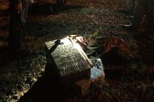 На Волині прикордонники завадили планам цигаркових контрабандистів