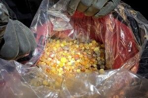 На Рівненщині чоловік перевозив майже 300 кг бурштину 