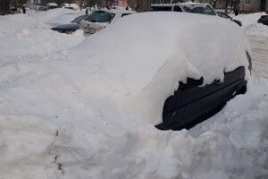 Лучанин дарує матеріал для виготовлення сніжної баби, але за однієї умови