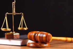Трьох волинян судитимуть за зрізаного дуба