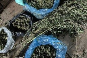 Двоє волинян продавали наркотики: їх взяли під варту