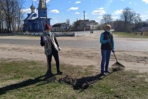У громаді Камінь-Каширського району оголосили розміри штрафів для тих, хто не прибере своїх територій