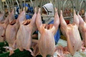 На чому заробляють наші аграрії?
