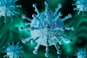 У двох ковельчан підозра на коронавірус не підтвердилася