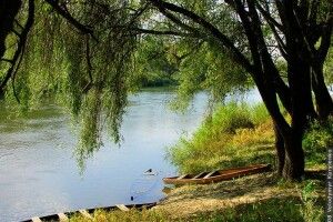 Асоціація рибалок: в Україні зникають малі річки 