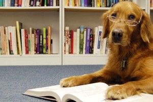 Місце для усіх, хто любить книги