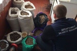 Рейд бурштиновими засіками: на Волині вилучили «сонячного» каміння на півмільйона гривень
