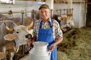 Як будуть розраховувати субсидію одноосібникам?