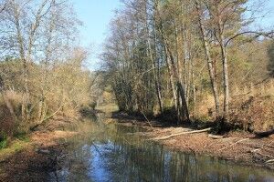 Ківерцівський природолюб поділився осінніми фотографіями таємничого волинського озера Запрєтка (фото)