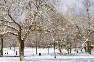 Якою буде погода на Волині