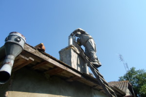 Рятувальники Рівненщини боролися з шершнями