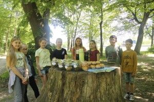 Любешівські школярі влаштували фіточаювання на велетенському пеньку (фото)