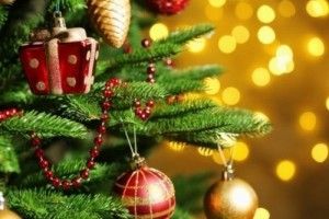 Грудень у Луцьку буде багатим цікавими заходами