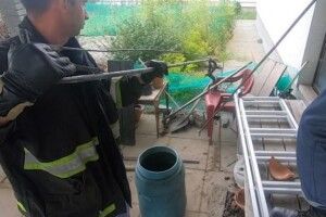 Рятувальники спіймали на приватному подвір'ї метрову змію