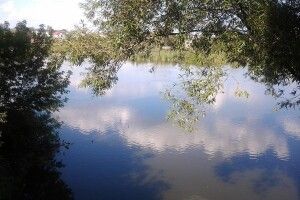 Поблизу Луцька перевірили стан річки Омелянівка через можливе забруднення 