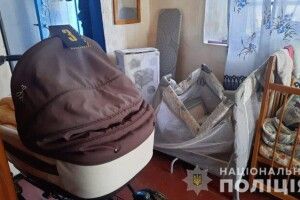 Поки мати веселилася з друзями, її дитина померла у візочку (Фото)