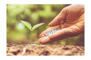 Волинські агровиробники мають можливість отримати міндобрива для весняної посівної