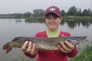 Волинянка на віброхвіст впіймала щупака