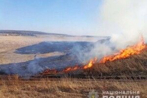 На Рівненщині чоловік загинув під час спалювання сухостою