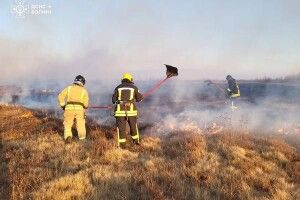 У Любешівській громаді виявили палія сухої трави