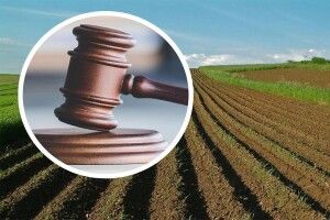 Суд розірвав договір: громаді на Волині повернули землю через борги з оренди